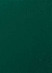 RENOLIT EXOFOL MX MOSS GREEN 6005 